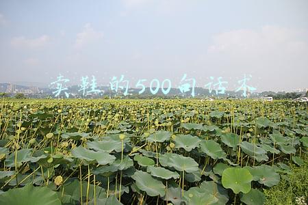 卖鞋的500句话术