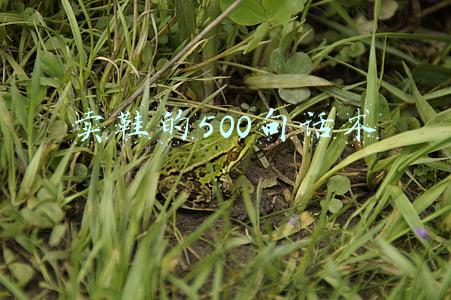 卖鞋的500句话术 卖鞋的500句话术