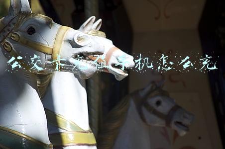 公交卡充值手机怎么充