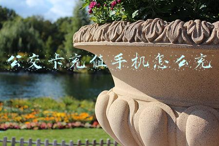 公交卡充值手机怎么充