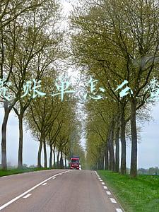 电费账单怎么查询