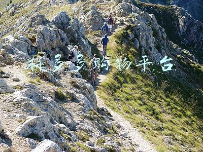 拼多多购物平台