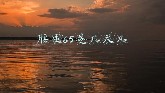 腰围65是几尺几