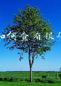 微信如何查看银行卡号