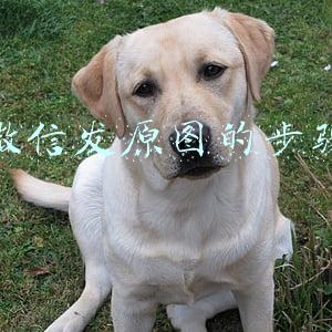 微信发原图的步骤