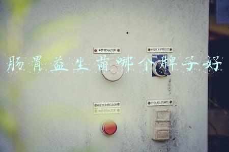 肠胃益生菌哪个牌子好