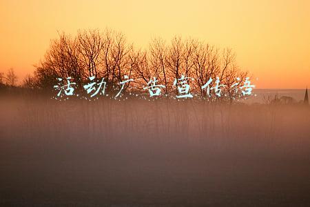 活动广告宣传语