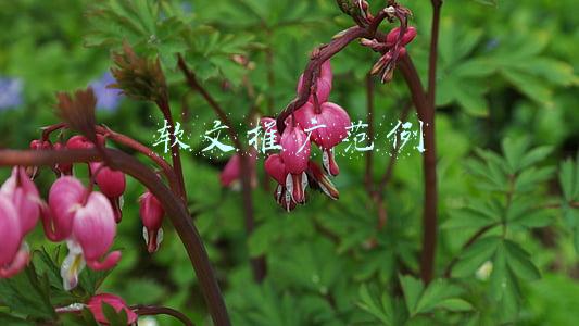 家具推广软文范例(​家居类型的软文该如何推广？)