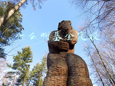 什么叫基金定投