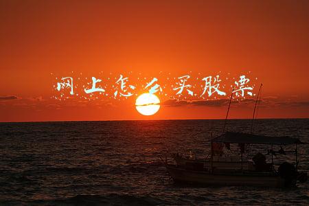 网上怎么买股票详细步骤(从入门到放弃-炒股的正确姿势)