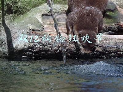 双12购物狂欢节