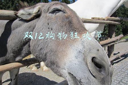 双11狂欢购物节(双十一购物节：少一点套路，多一点真诚)