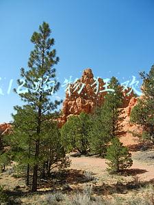 双12购物狂欢节