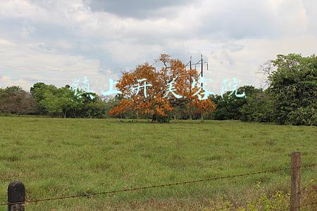 龙湖镇美容院(江苏苏州新增新冠肺炎确诊病例18例 详情公布)