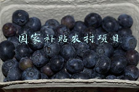 国家补贴农村项目