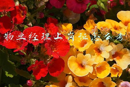 物业经理上岗证怎么考