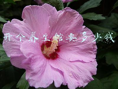 开个养生馆要多少钱