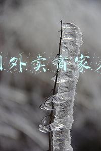 美团外卖商家后台