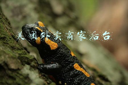 美团外卖商家后台