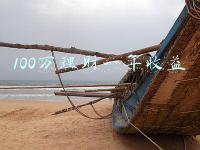 100万理财一年收益