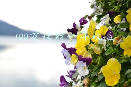 100万理财一年收益