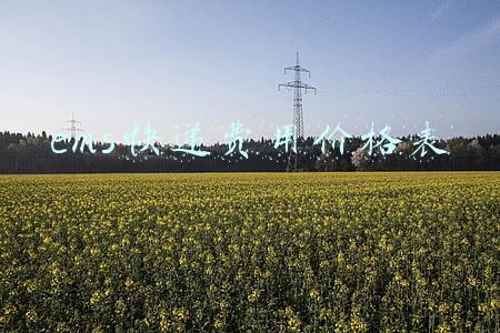 ems快递费用价格表