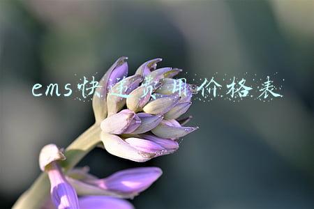 ems快递费用价格表