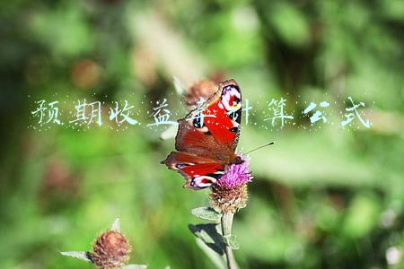 预期收益率计算公式