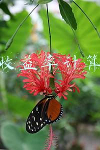 预期收益率计算公式