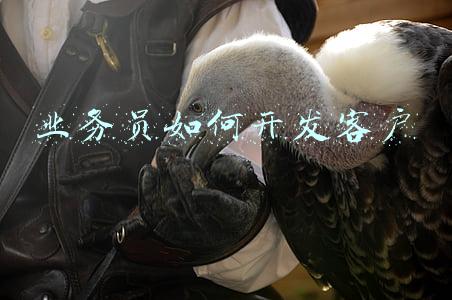 业务员如何开发客户