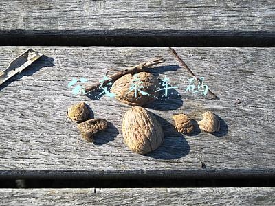 公交乘车码 公交乘车码