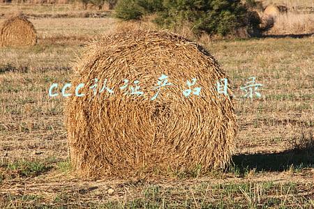 ccc认证产品目录最新(收藏：最新CCC认证目录范围（2019）)