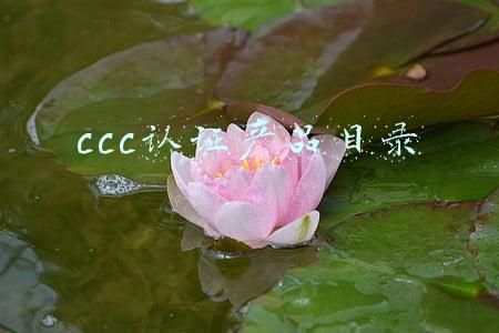 ccc认证产品目录