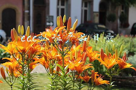 ccc强制性产品认证目录(需要做强制性CCC认证产品大全)