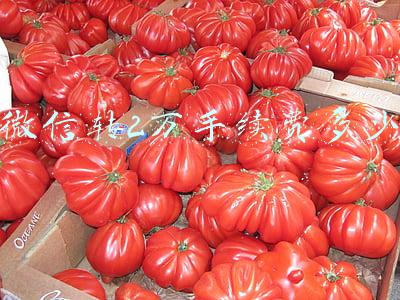 微信转2万手续费多少 微信转2万手续费多少