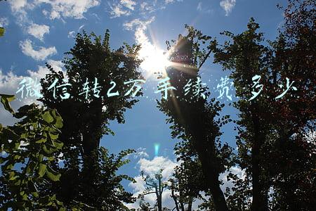 微信转2万手续费多少
