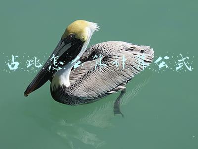 占比怎么算计算公式