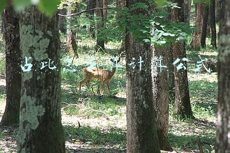 占比怎么算计算公式