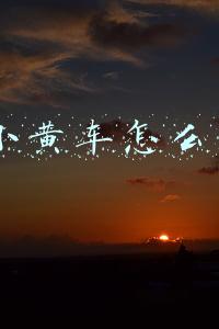 ofo小黄车怎么办理