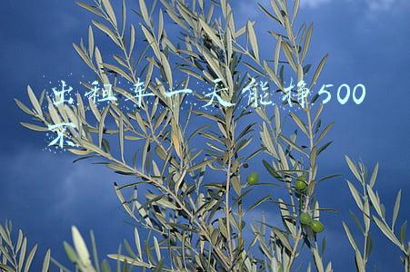 出租车一天能挣500不 出租车一天能挣500不