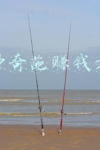 七种奇葩赚钱方式