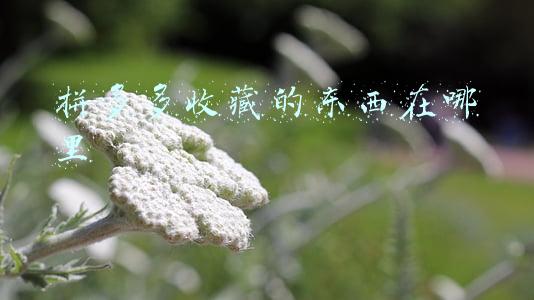拼多多收藏的东西在哪里删除(沉迷同源店，年轻人的“抠门”是消费降级吗？)