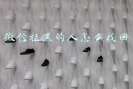 微信拉黑的人怎么找回