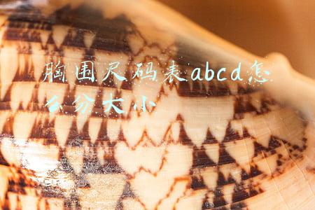 胸围尺码表abcd怎么分大小