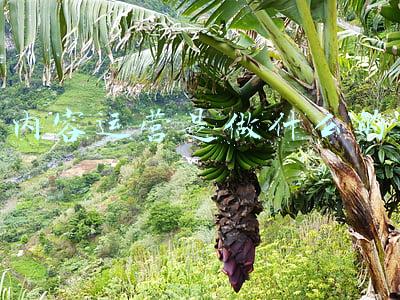 内容运营主要做什么(新媒体运营、编辑、内容运营、文案的区别是什么？)