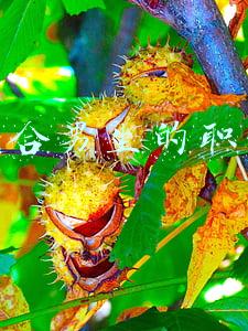 适合男生的职业