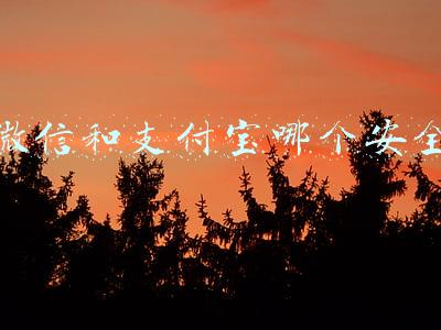 微信和支付宝哪个安全