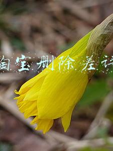 淘宝删除差评