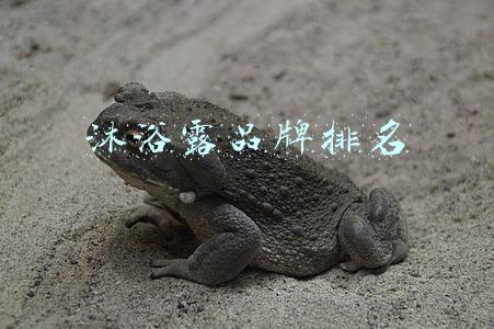 沐浴露品牌排名榜(中国公认沐浴露段位排行榜大公开 国货越来越好)