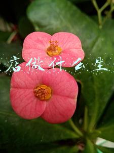 开小店做什么生意好